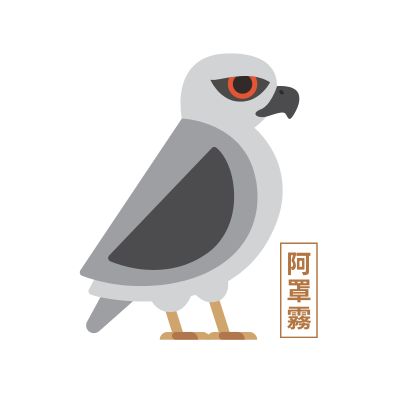 黑翅鳶探索徽章